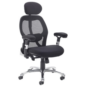 Sandro Mesh Back Executive Office Chair with Headrest