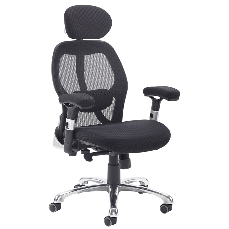 Sandro Mesh Back Executive Office Chair with Headrest