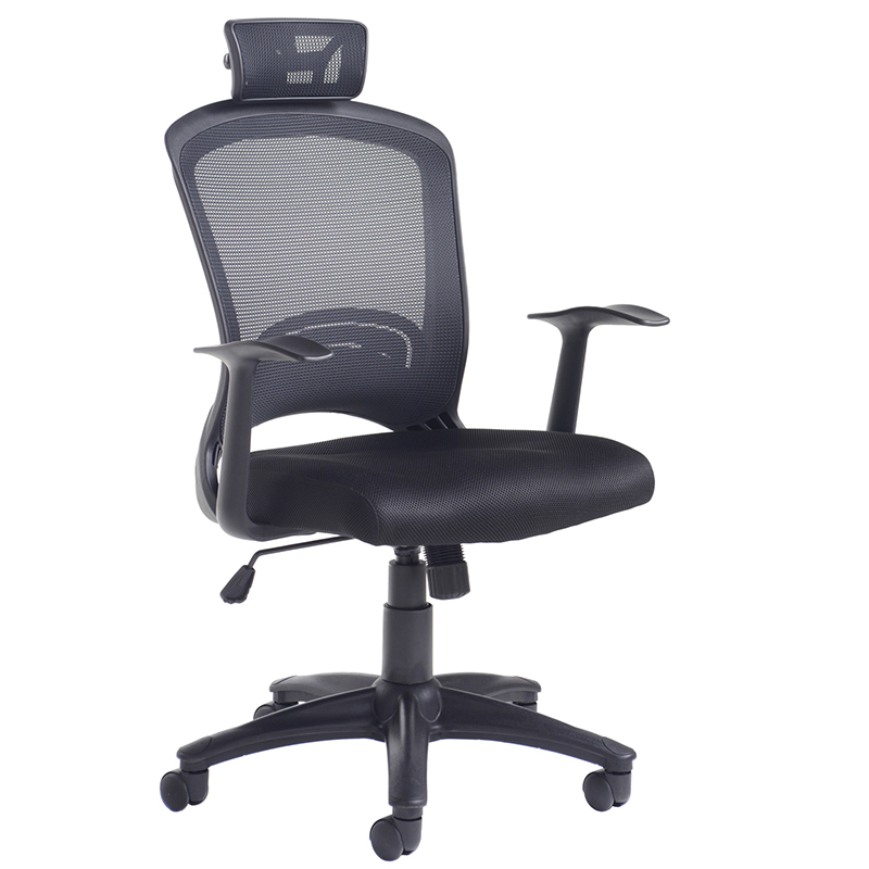 Solaris Mesh Back Task Chair with Fixed Arms