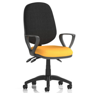 Eclipse Plus III Ergonomic Chair – Bespoke Seat, Black Back, Loop Arms