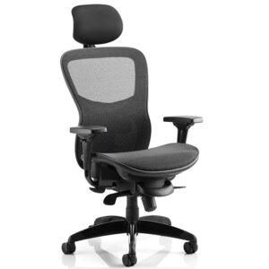 Stealth Shadow Office Chair with High Mesh Back and Seat with Adjustable Arms