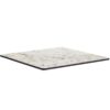 Nobis Furniture - Extrema HP Laminate Outdoor Table Top - Carrara Marble