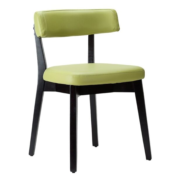 Nobis Furniture - Luca Black Frame Faux Leather Side Chair - Best Seller!