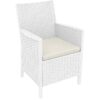 Nobis Furniture - Rattan Outdoor Arm Chair