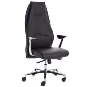 Stratus Black Executive Office Chair with Fixed Arms