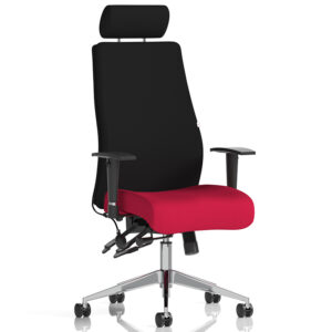 Onyx High Back Ergonomic Task Chair with Adjustable Arms and Headrest